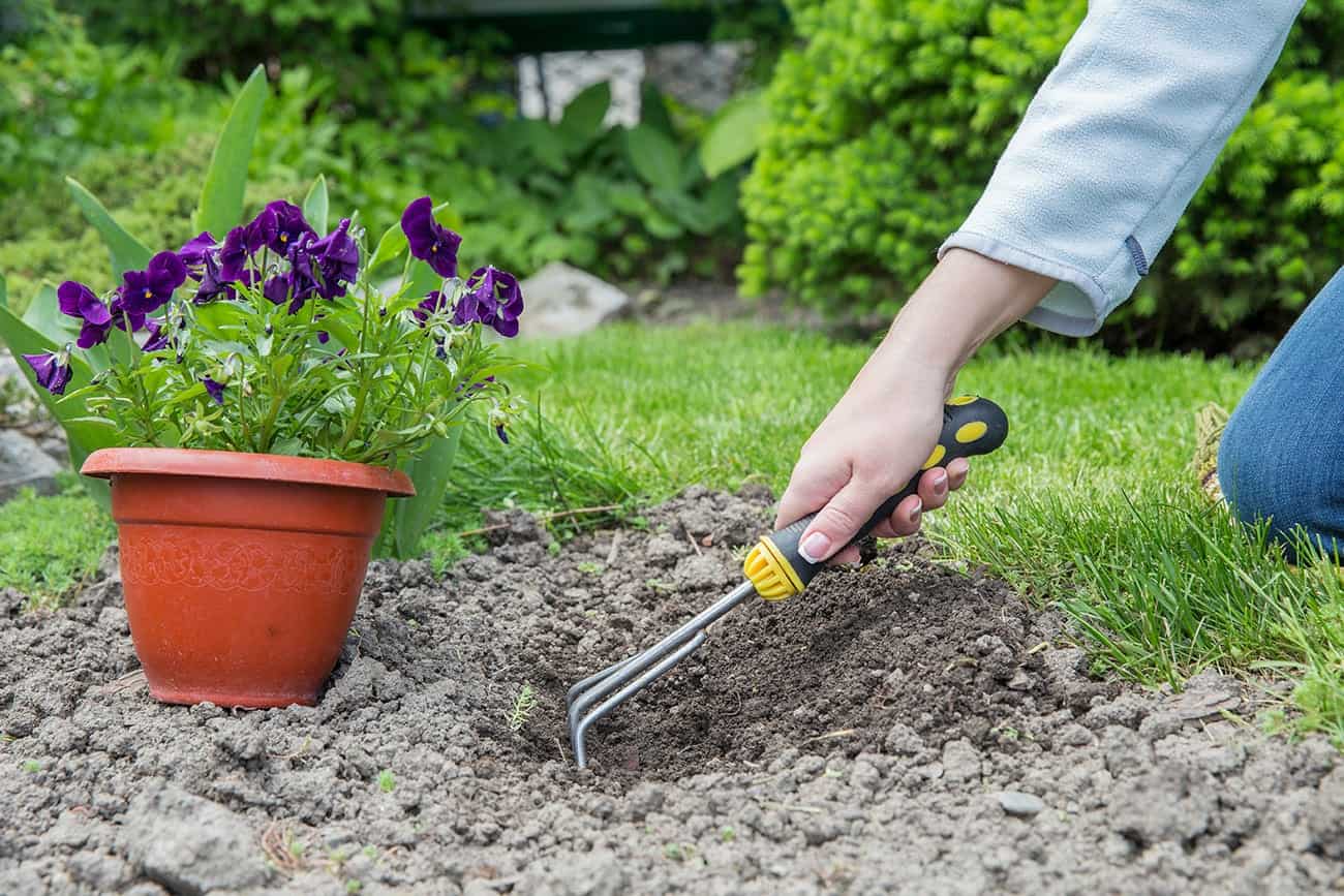 Planting