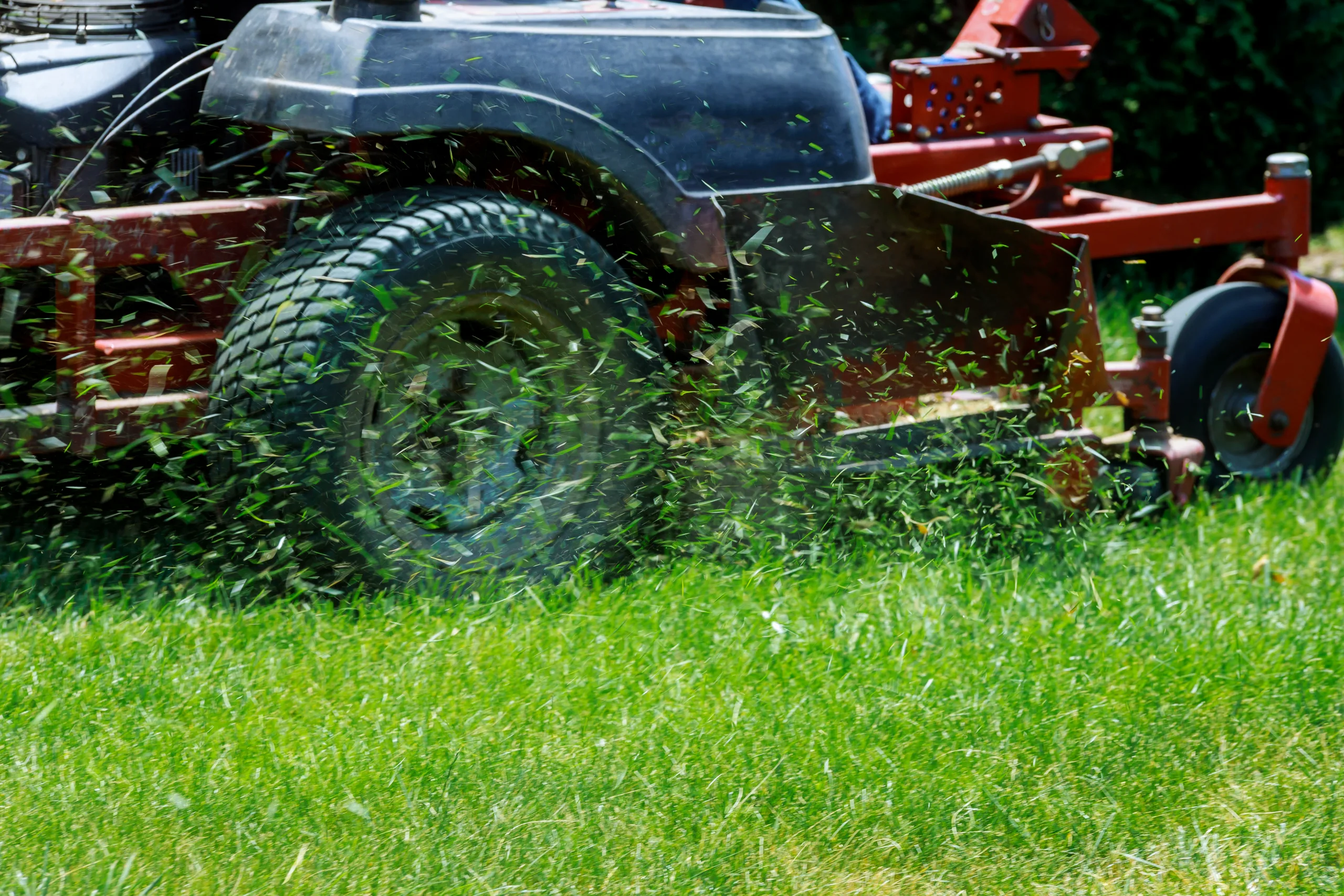 Lawn Maintenance