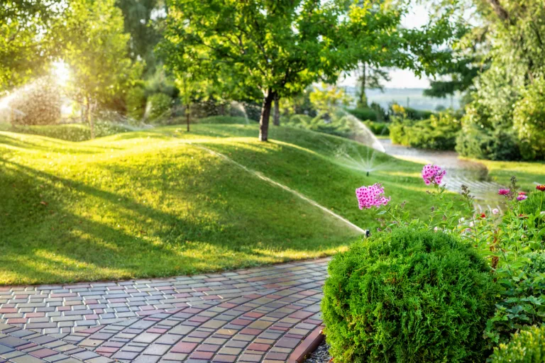 Turf management