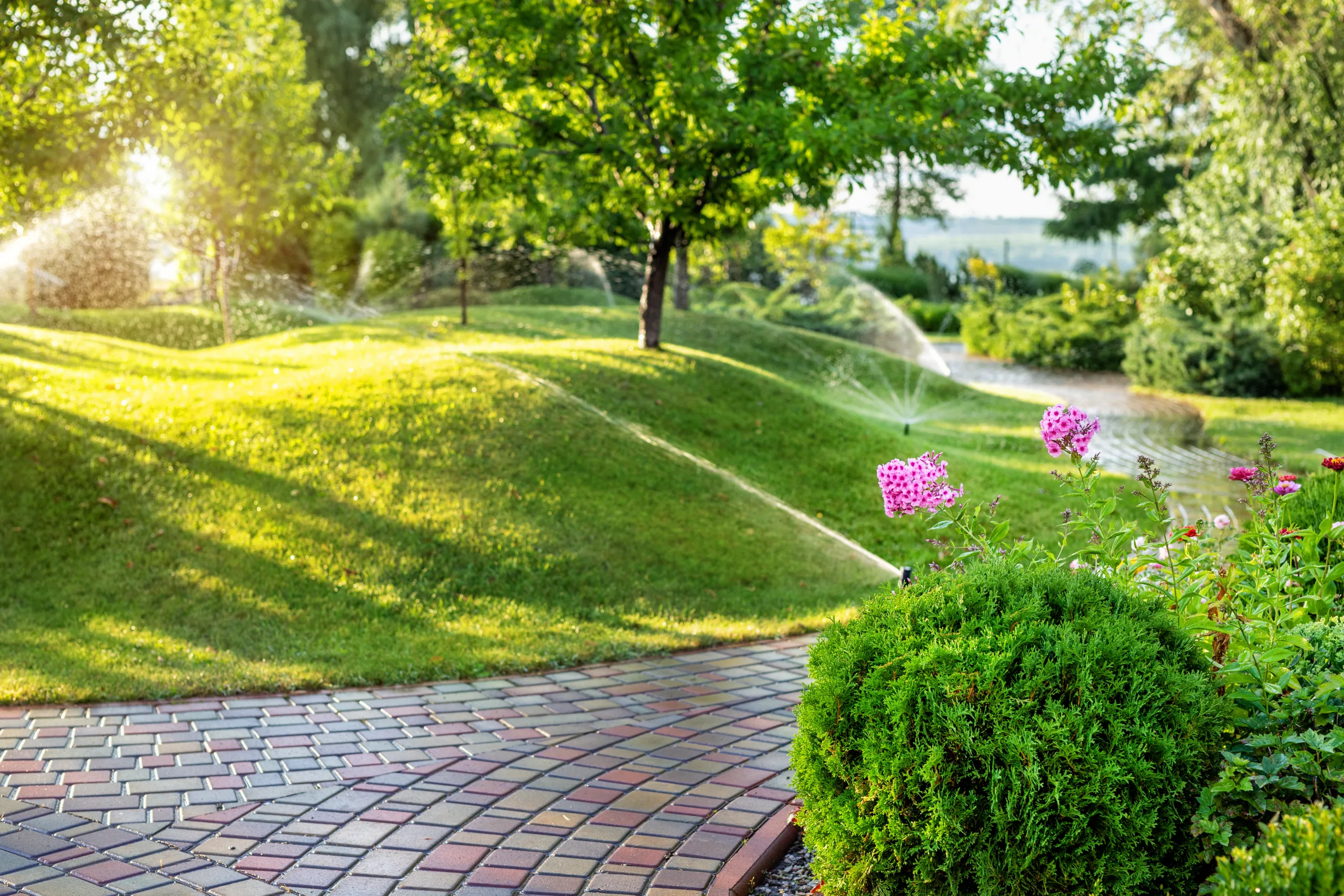 Turf management