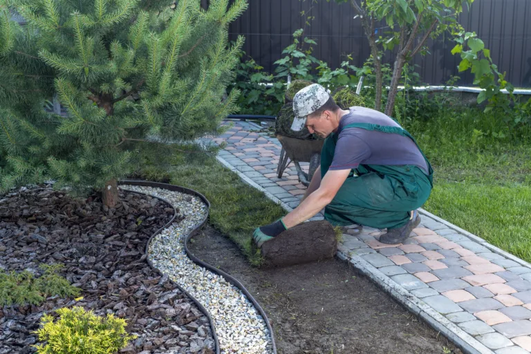 Turf management